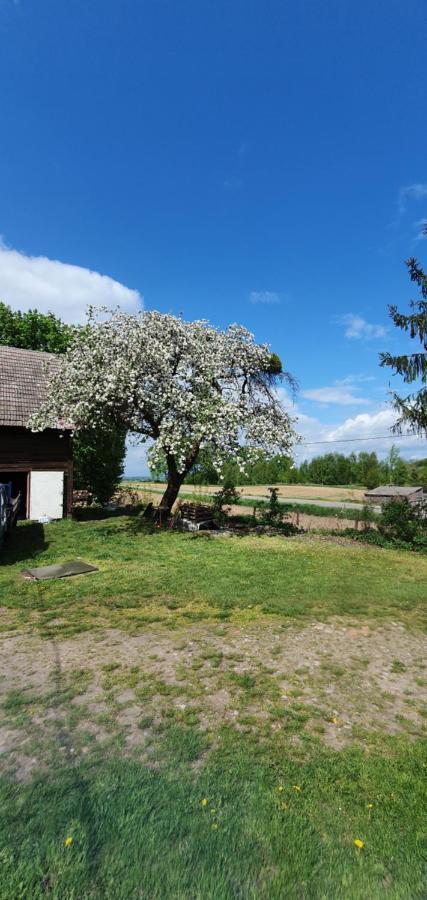 Mazurska Przystan Villa Dąbrówno Екстериор снимка