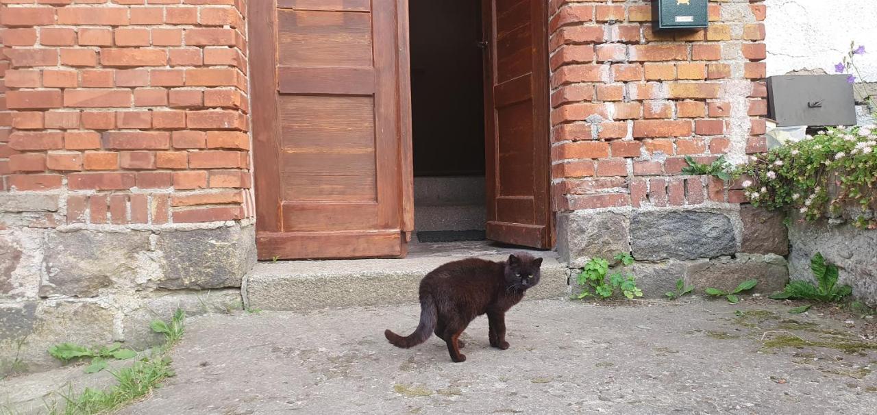 Mazurska Przystan Villa Dąbrówno Екстериор снимка